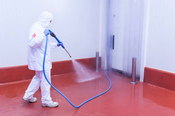 Trusted Palisades Park, NJ Pressure Washing Services Experts